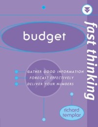 Fast Thinking Budget