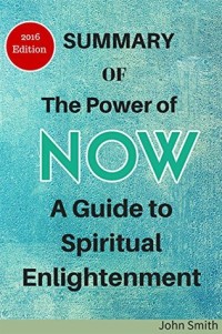 Summary and analysis of The Power of Now