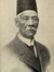 سعد زغلول