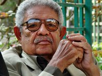 محمد زغلول سلام