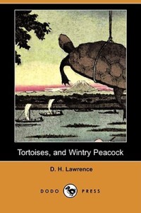 Tortoises, and Wintry Peacock