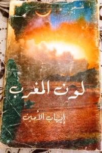 كتاب لون المغرب