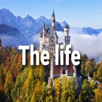 The life