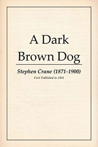 A Dark Brown Dog