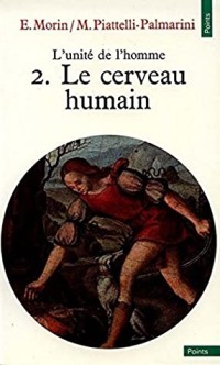Le cerveau humain