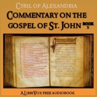 Commentary on the Gospel of John, Book 5