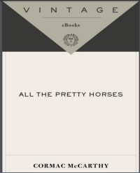 All the Pretty Horses