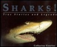 Sharks!