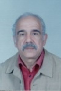 عبد الأحد السبتي