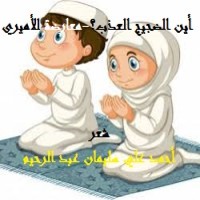 كتاب أين الضجيج العذب؟ - معارضة للأميري