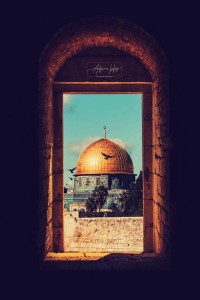 رواية نور الدين
