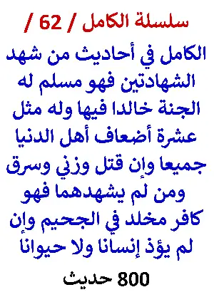 كتاب الكامل في احاديث من شهد الشهادتين فهو مسلم وإن قتل وزني النسخة الجديدة 800 حديث