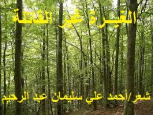 كتاب الغيــرة غير القاتلة