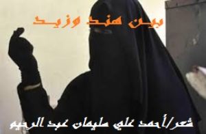 كتاب بيـــن هنــد وزيــــد