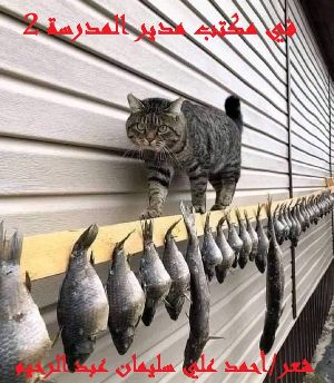 كتاب في مكتب مدير المدرسة 2