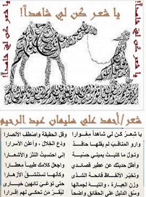 كتاب ديوان يا شعـر كن لي شاهدا