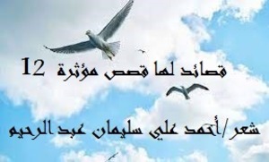 كتاب قصائد لها قصص مؤثرة 12