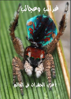 كتاب غرائب وعجائب - الجزء السادس