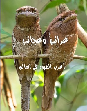 كتاب غرائب وعجائب - الجزء الثامن
