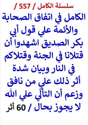 كتاب الكامل في اتفاق الصحابة والائمة علي قول ابي بكر الصديق اشهدوا ان قتلانا