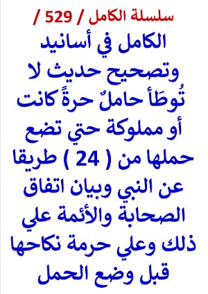كتاب الكامل في اسانيد وتصحيح حديث لا توطا حامل حرة كانت او مملوكة حتي تضع حملها