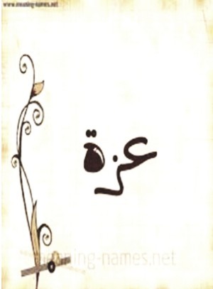 رواية عزة