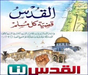كتاب جنين والسور الحديدي ومصطلحات ومقتطفات تاريخية وسياسية