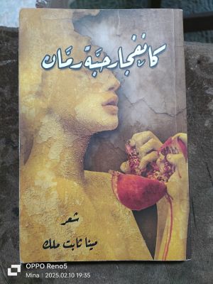 كتاب كانفجار حبة رمان