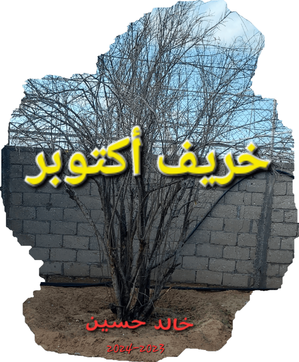 كتاب خريف أكتوبر