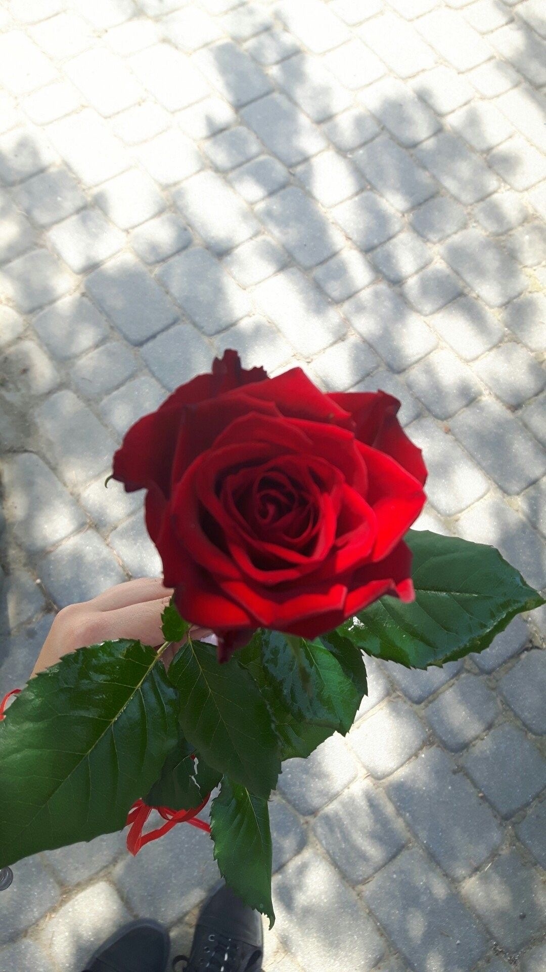 اسراء بن طراد