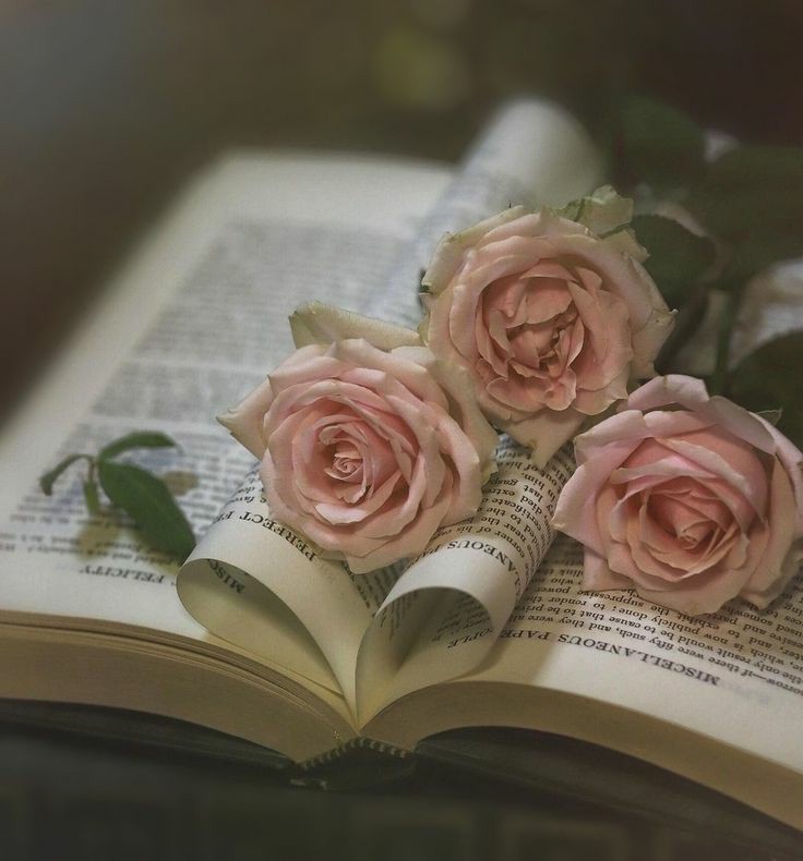 إيناس الجنايني