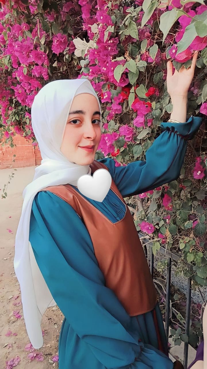 منة محجوب