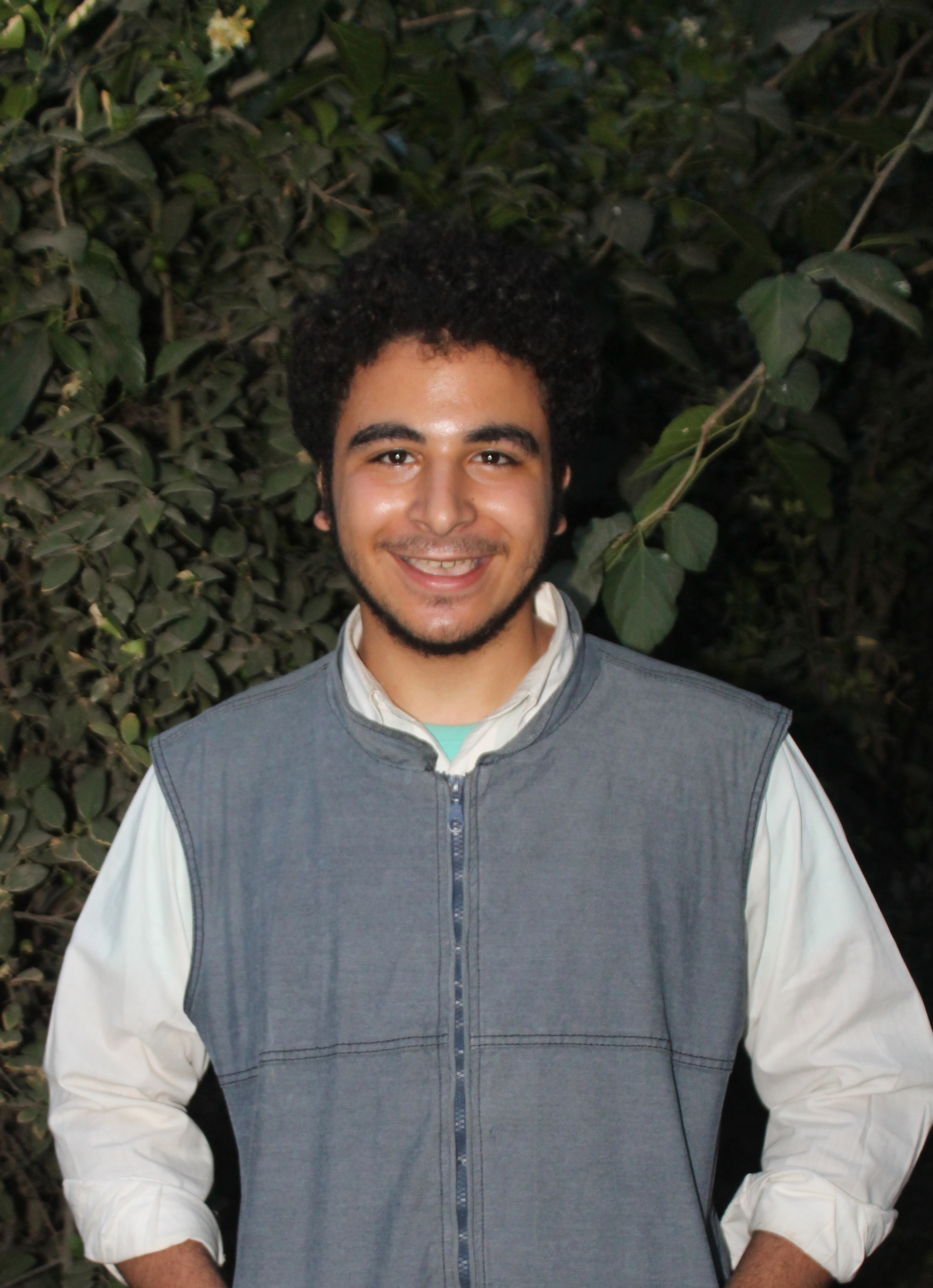 محمد ابراهيم فكري