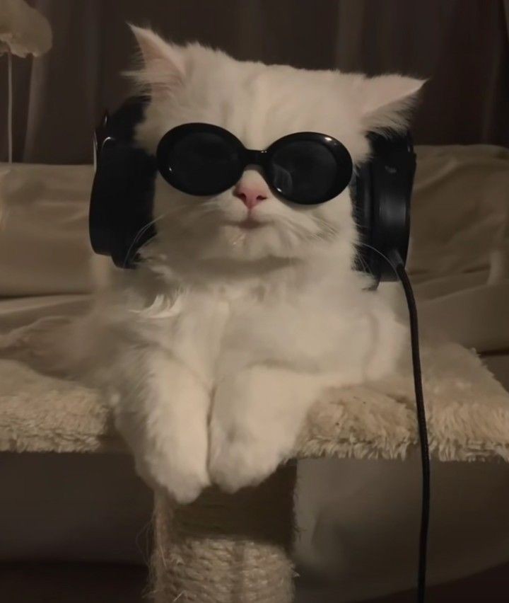هاجر بري