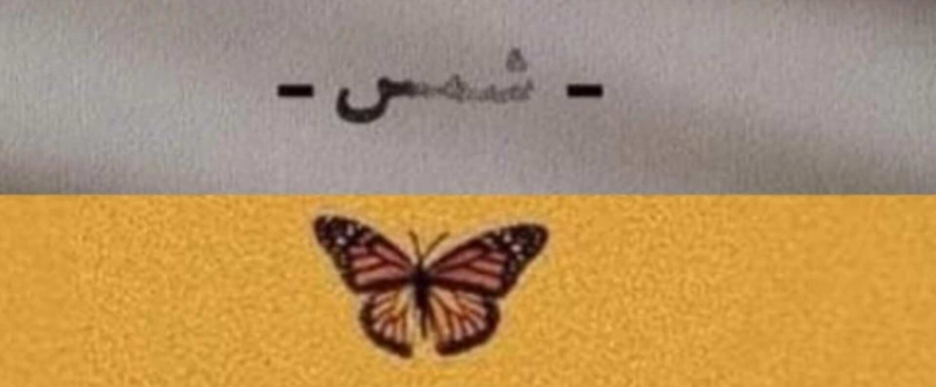 سارة محمد قربيش