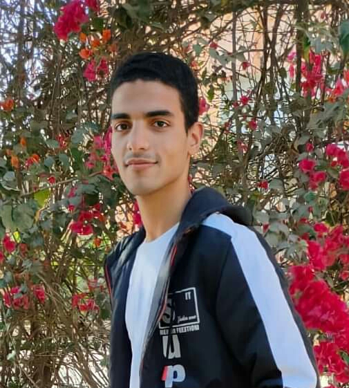 محمود باشا العبساوى