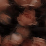 باهي هوارية