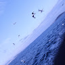 آيات صلاح